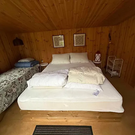 Bright Close To The Sea Yderby